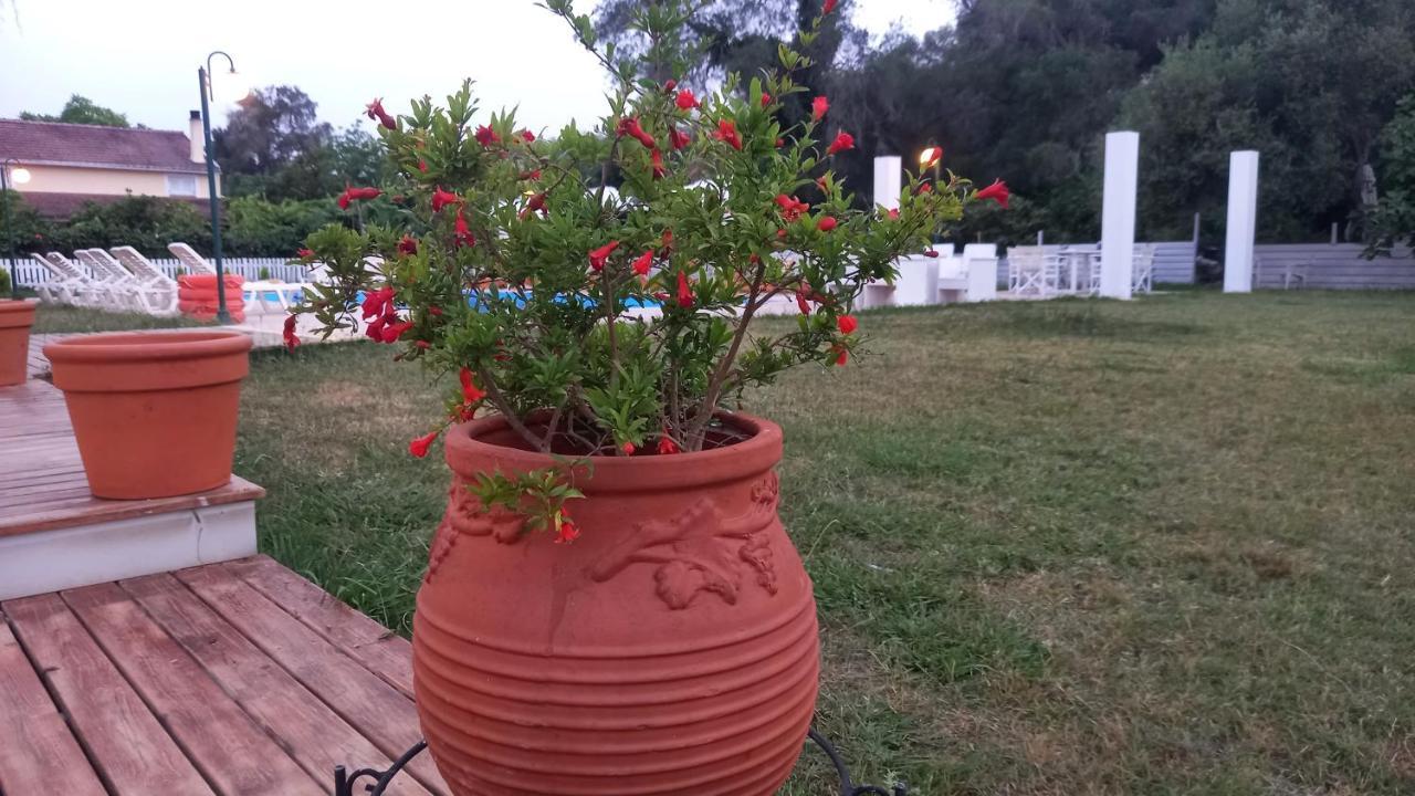 Amelia's Garden 3* Kávos